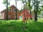 Akác Tanya - Újlengyel