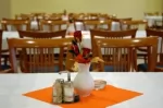 Alföld Gyöngye Hotel és Konferenciaközpont - Orosháza