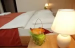 Alföld Gyöngye Hotel és Konferenciaközpont - Orosháza