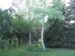 Fortuna Panzió - Orosháza-Gyopárosfürdő