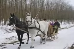 Zsitfapuszta Vadászház - Vízvár