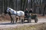 Zsitfapuszta Vadászház - Vízvár