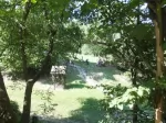 Dunakanyar Ifjúsági Tábor - Zebegény - fastés a Szőnyi-kertben Dunakanyar Ifjúsági Tábor - Zebegény - fastés a Szőnyi-kertben
