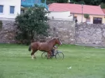Vizivároson