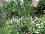 Mami Kertje Apartman MA21004329 - Esztergom
