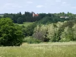 erdők, mezők a közelben