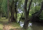 Tavi Vendégház - Szentgotthárd