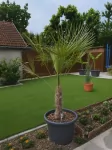 Lilla apartmanházak - Szilvásvárad