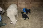 Pangea Egyesület Oktatóközpontja - biogazdaság