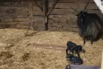 Pangea Egyesület Oktatóközpontja - biogazdaság