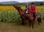 lovaglás a sigeten, velünk szemben, komp és kishajó jár át, non-stop!!